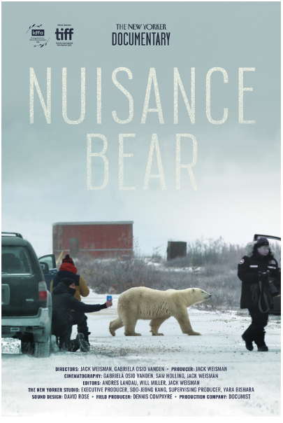 Nuisance Bear Documentary