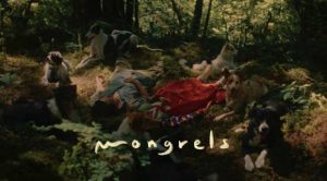 mongrels